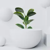 Iamfluidics Sustainability