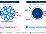 Diagram comparing a high-loaded matrix microparticle with interconnected pathways and early burst release against a core-shell particle with a drug-poor polymer shell and more controlled release.