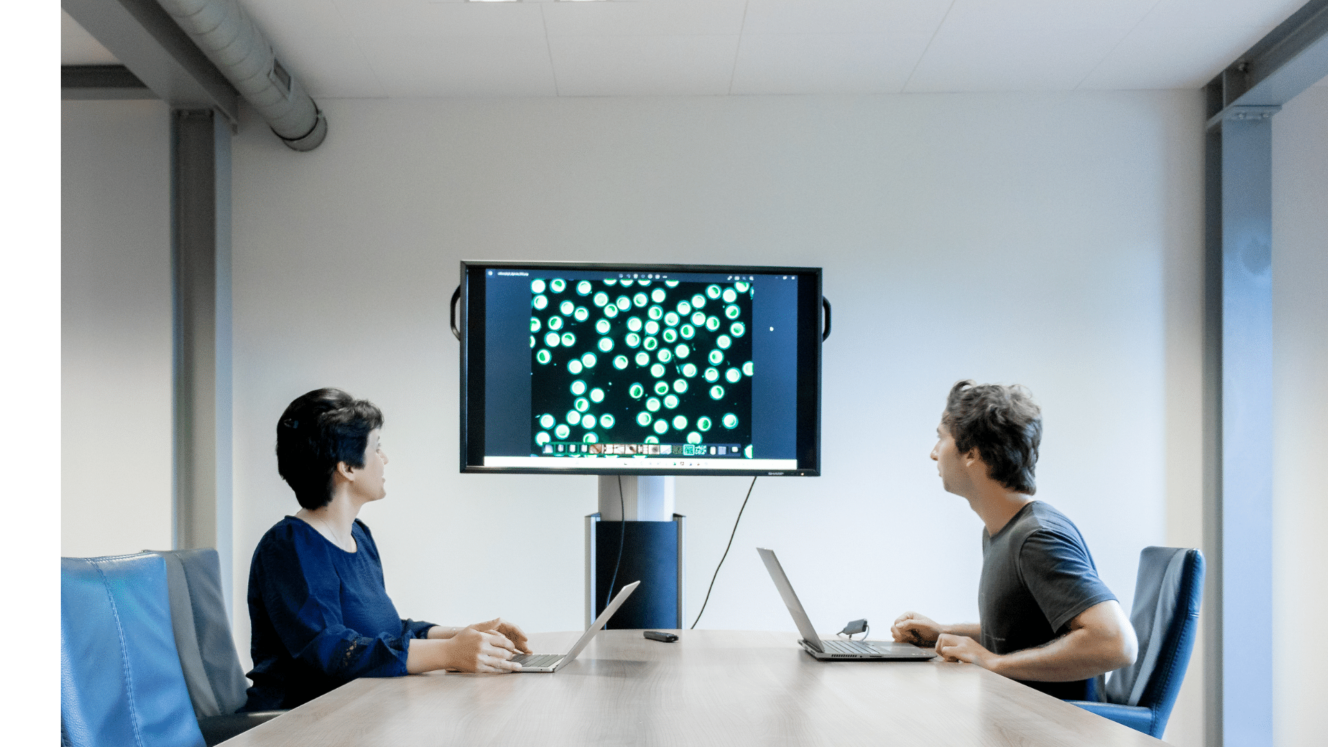 Iamfluidics Team Values