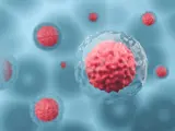 Iamfluidics Stem Cell