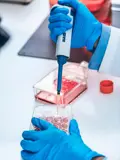 Iamfluidics Organoids And Tissue Regeneration Research